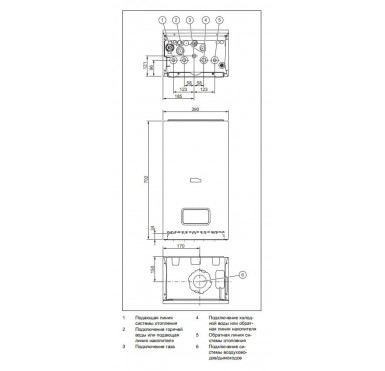 Газовый конденсационный настенный двухконтурный котел Protherm Рысь К 25/30 MKV